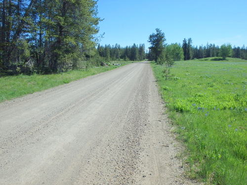 GDMBR: Still heading east on really good National Forest road.